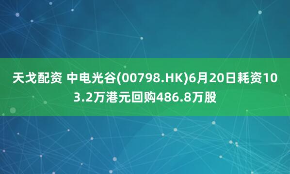 天戈配资 中电光谷(00798.HK)6月20日耗资103.2万港元回购486.8万股