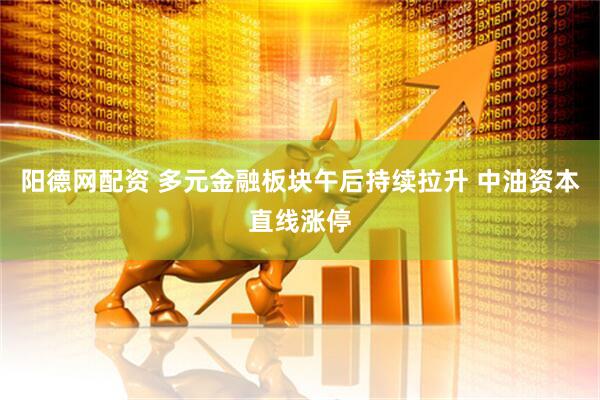 阳德网配资 多元金融板块午后持续拉升 中油资本直线涨停