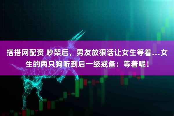 搭搭网配资 吵架后，男友放狠话让女生等着…女生的两只狗听到后一级戒备：等着呢！