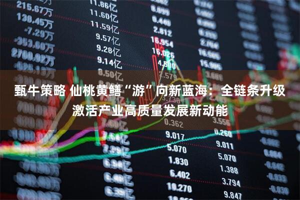 甄牛策略 仙桃黄鳝“游”向新蓝海：全链条升级激活产业高质量发展新动能