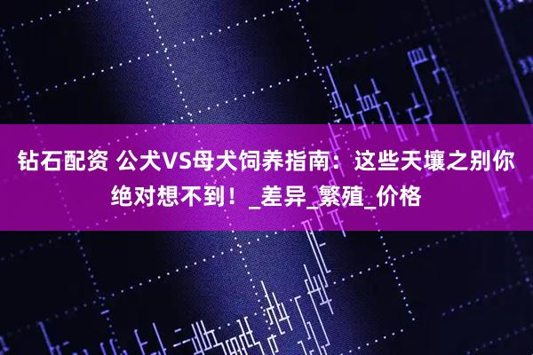 钻石配资 公犬VS母犬饲养指南：这些天壤之别你绝对想不到！_差异_繁殖_价格