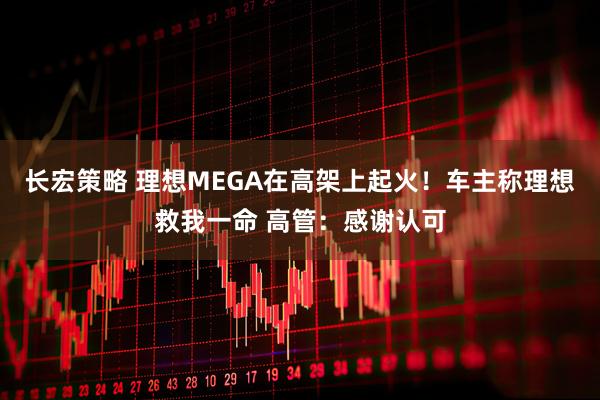 长宏策略 理想MEGA在高架上起火！车主称理想救我一命 高管：感谢认可