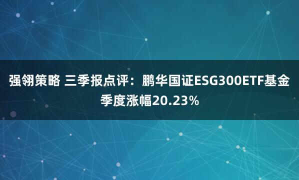强翎策略 三季报点评:鹏华国证ESG300ETF基金季度涨幅20.23%