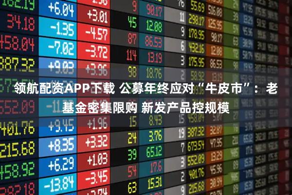 领航配资APP下载 公募年终应对“牛皮市”：老基金密集限购 新发产品控规模
